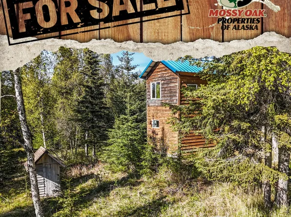 63760 Elizabeth Ave #63710, Ninilchik, AK 99639