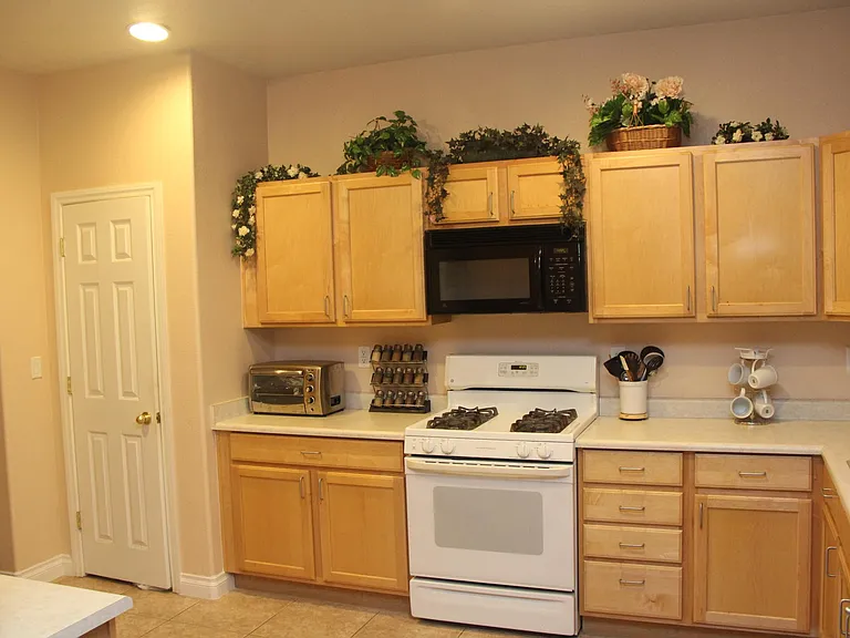 281 Bamboo Forest Pl — Photo 13
