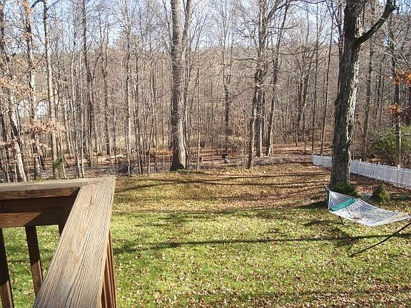 Nice, level, private back yard