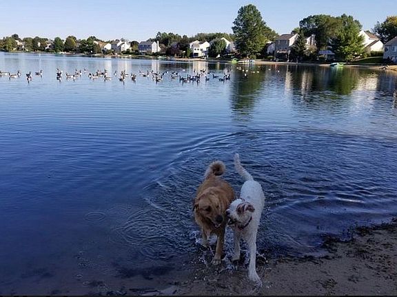 5th image of 325 Sand Castle Dr