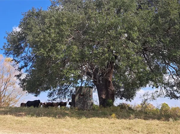 3432 County Road 206 N, Cameron, TX 76520