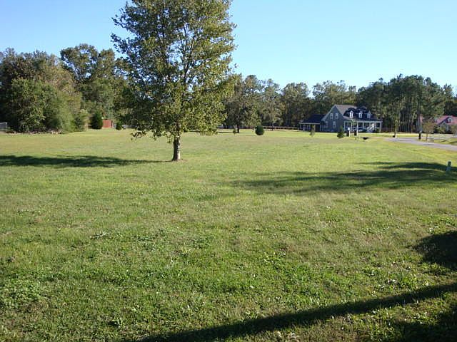 2nd image of 1000 Moss Haven Ln