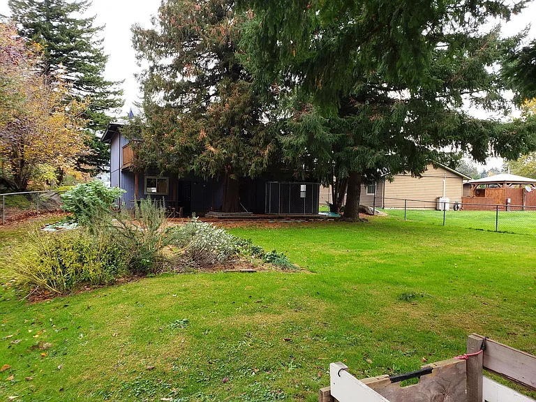 yard