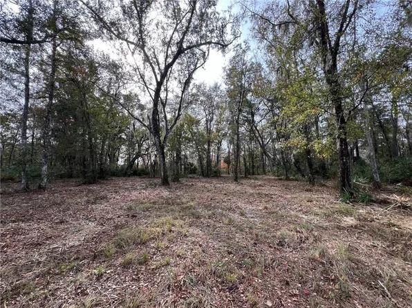 597 Salt Creek Way, Brunswick, GA 31523