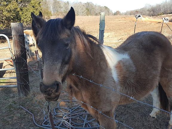 Molly, a former resident