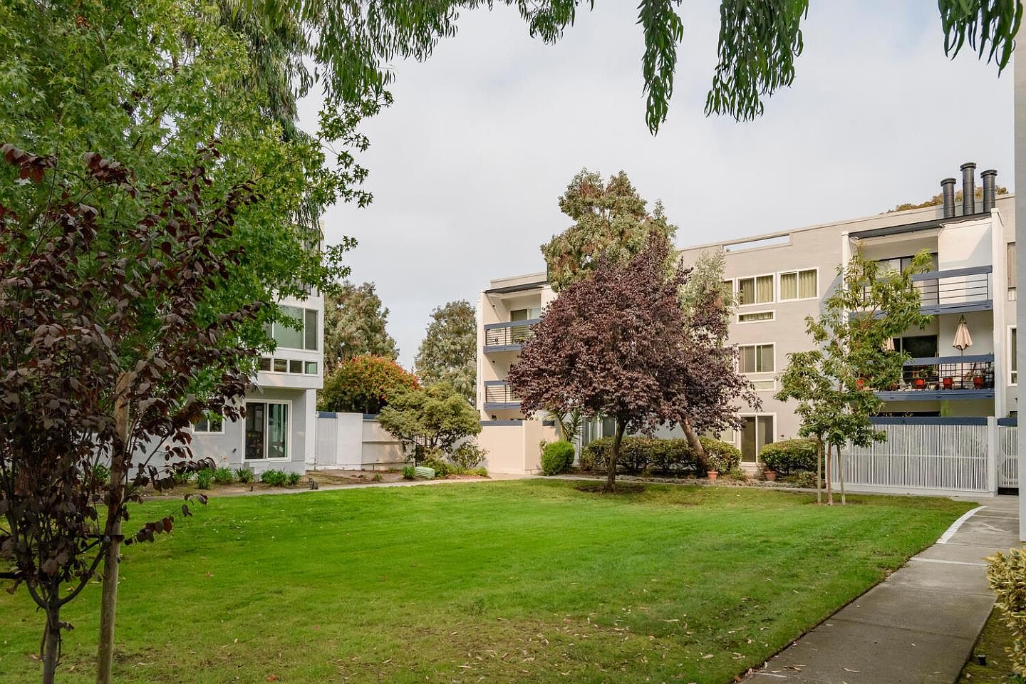 1091 Shell Blvd APT 3, Foster City, CA 94404 Zillow