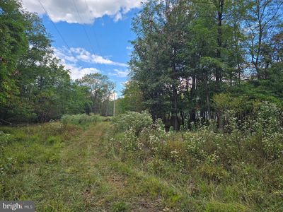 Gamble Road Pcl 51 Point LOT 2, Great Cacapon, WV, 25422