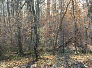 1138 Forsyth Line Rd, Rural Hall, NC 27045