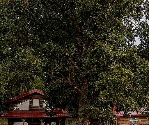 2nd image of 34033 Blackberry Ridge Rd