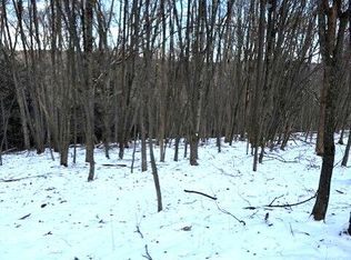 Tiffany Rd, Kingsley, PA 18826