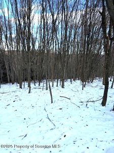 Tiffany Rd, Kingsley, PA, 18826