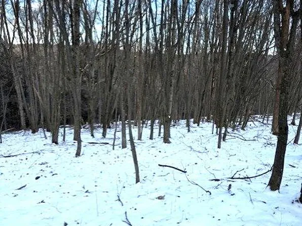 Tiffany Rd, Kingsley, PA 18826