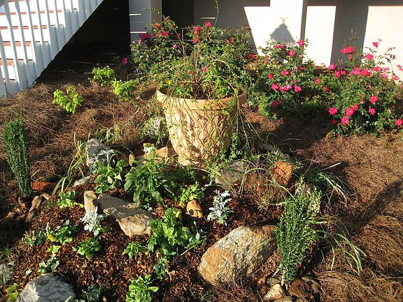 Front Close up Planting Area