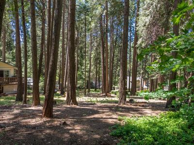 2870 Marilyn Dr, Pollock Pines, CA, 95726