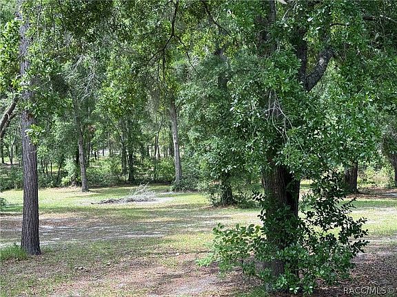 2nd image of 20275 33rd Rd