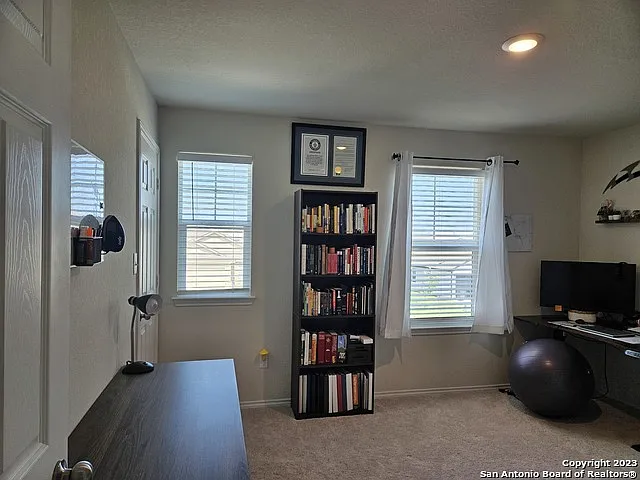 535 Wild Olive Way — Photo 19