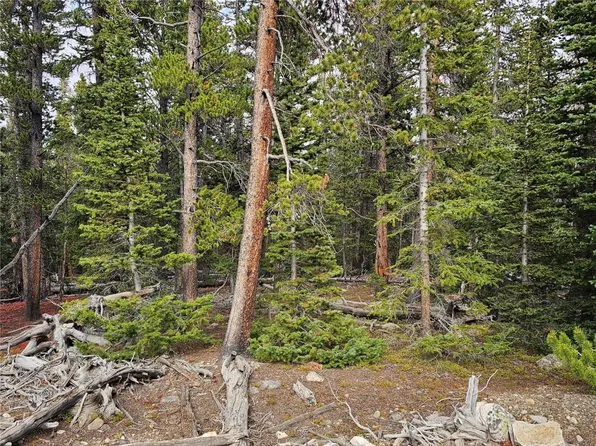 122 Miners Way, Fairplay, CO 80440