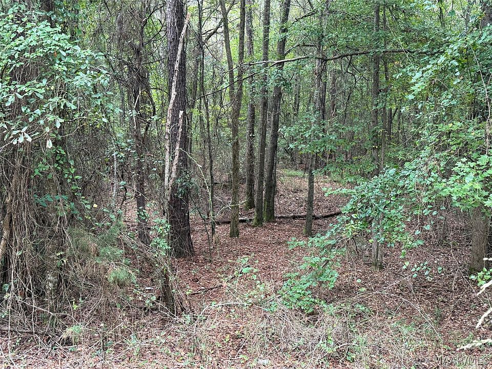 1st image of 0 County Road 44 Rd