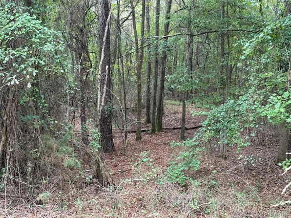 0 County Road 44 Rd, Autaugaville, AL 36003