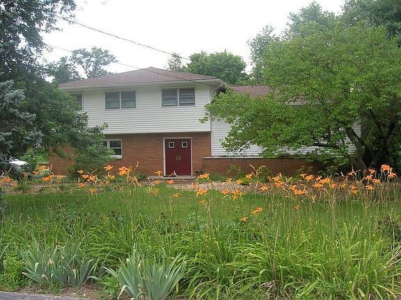 Tiger Lilies in front