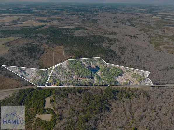 22701 State Highway 129 S, Cobbtown, GA 30420