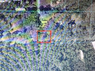 2827 SE 180th St LOT 12, Summerfield, FL 34491