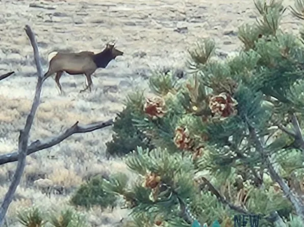 Highway 285, Tres Piedras, NM 87577