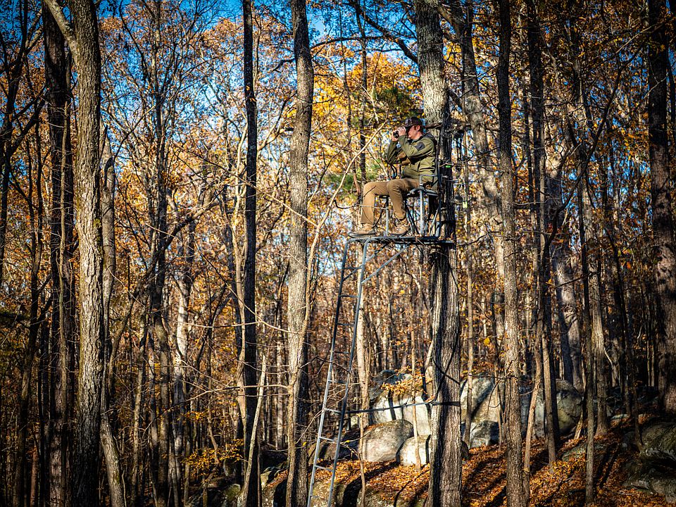 34th image of this home