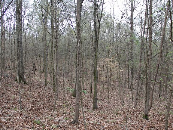 5th image of 7817 Perry Town Rd