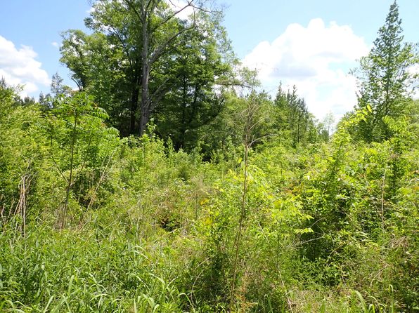 0 Allenton Rd, Pine Apple, AL 36768