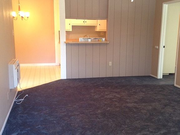 Family Room with new carpet