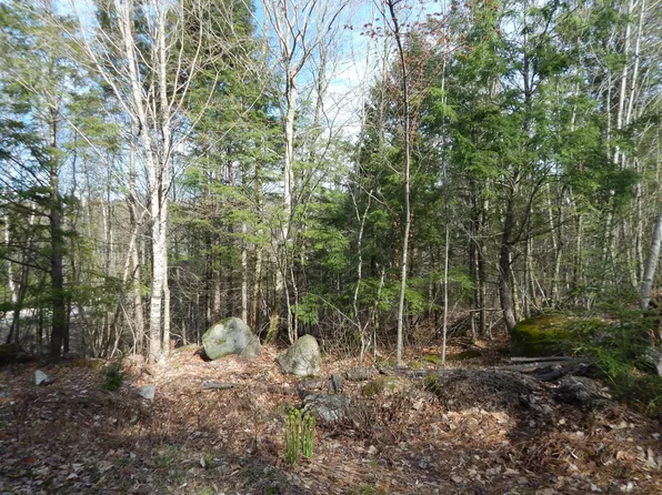 11 Hillside Avenue, Harrison, ME 04040