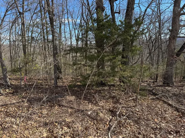 000 October Hill Lane, Branson West, MO 65737