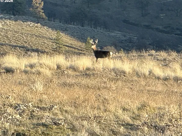 Vista Dr, Goldendale, WA 98620