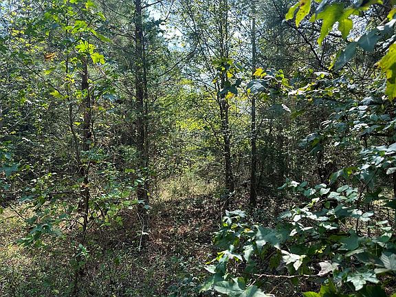 3rd image of 23884 Highway 49
