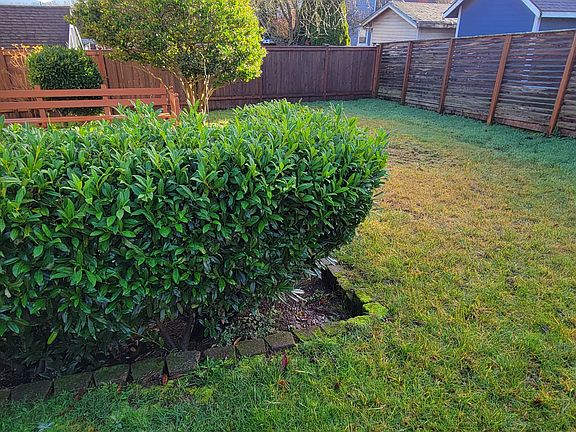 Fully fenced backyard.