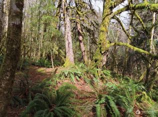 0 Artic Rd, Cosmopolis, WA 98537