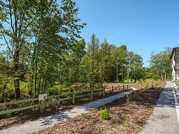 Walking trails along Alder Creek