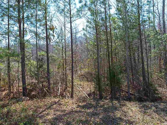 2nd image of LOT 22 Round Fish Dr Lot 22