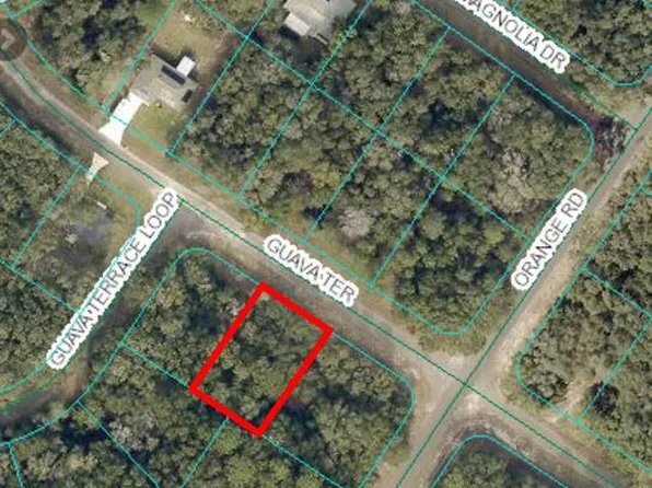 0 Guava Ter #3, Ocklawaha, FL 32179