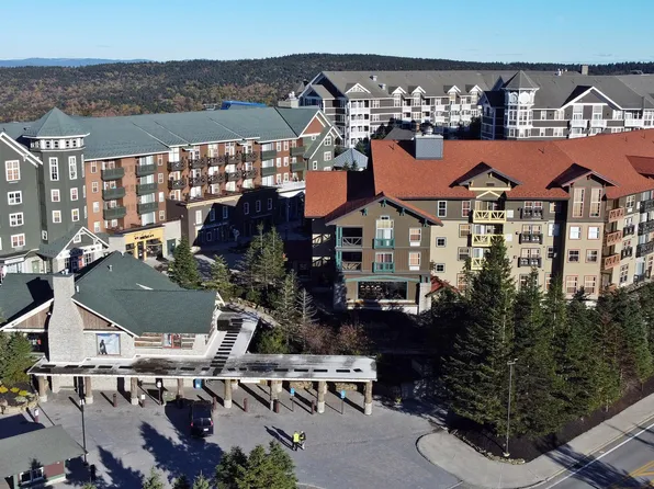 6175 Snowshoe Dr #157, Snowshoe, WV 26209