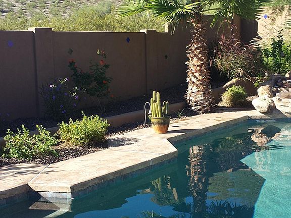 Pool backing up to Desert Preserve