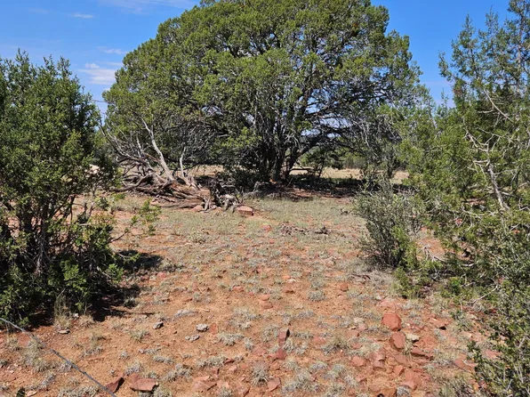 361 W Valley Cir, Seligman, AZ 86337