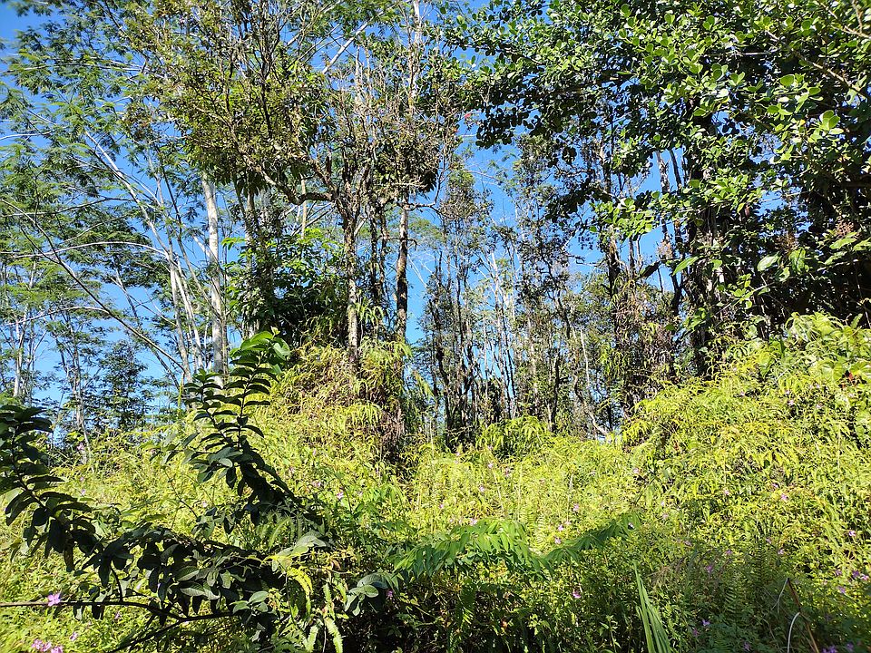 2nd image of Forest Rd Lot 339