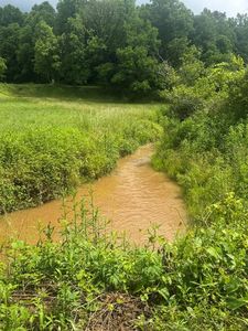 0 Tails Creek Rd, Ellijay, GA, 30540