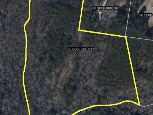 3857 Steen Rd, Mount Croghan, SC 29727