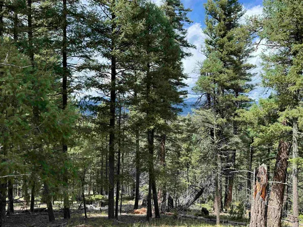 LOT 123 Valley Rd, Angel Fire, NM 87710