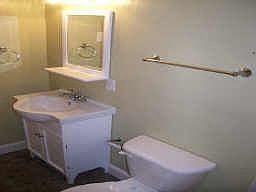 Renovated Bath with new sink/commode