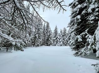 129 Mather Rd, McCall, ID 83638