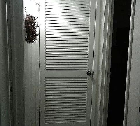 4th image of 4804 Country Club Dr APT A